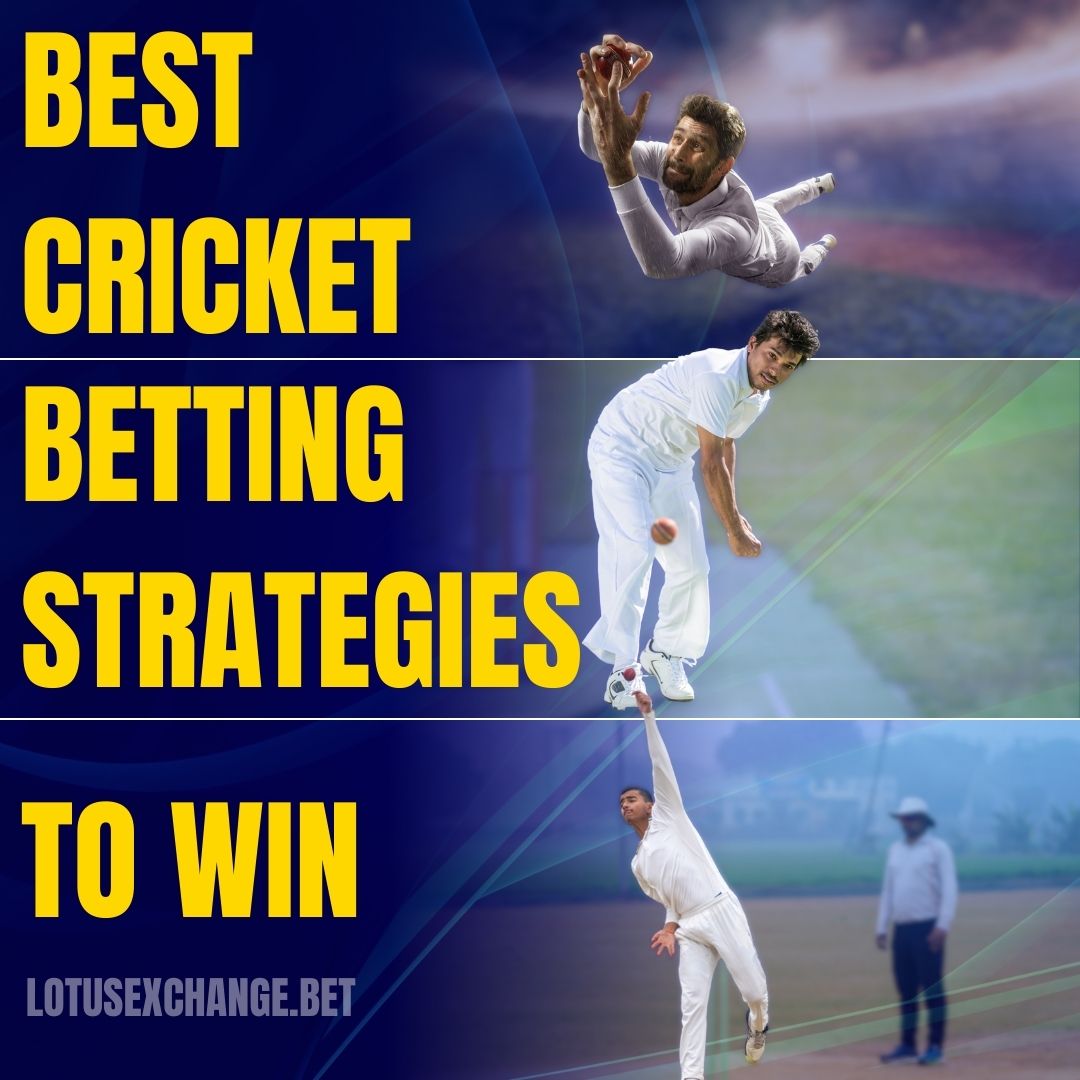 Cricket Betting Strategies Banner